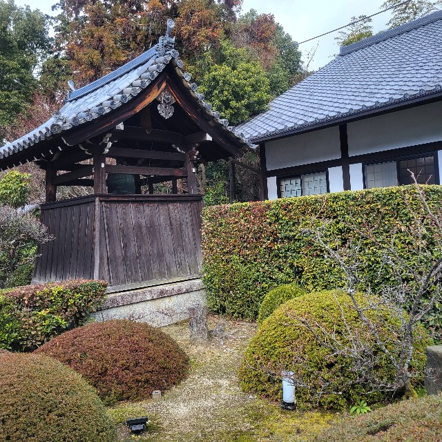 f:id:atoriatoriatori:20240118130516j:image f:id:atoriatoriatori:20240118130516j:image