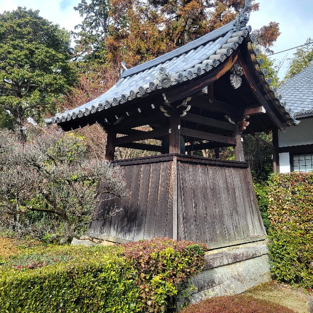 f:id:atoriatoriatori:20240118130828j:image f:id:atoriatoriatori:20240118130828j:image