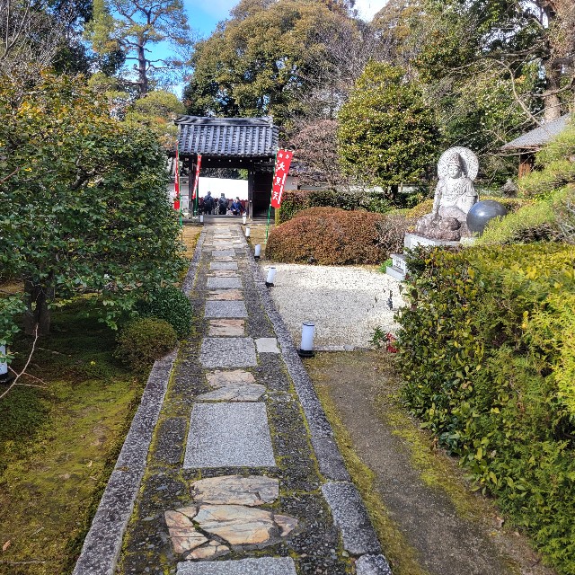 f:id:atoriatoriatori:20240118130841j:image f:id:atoriatoriatori:20240118130841j:image