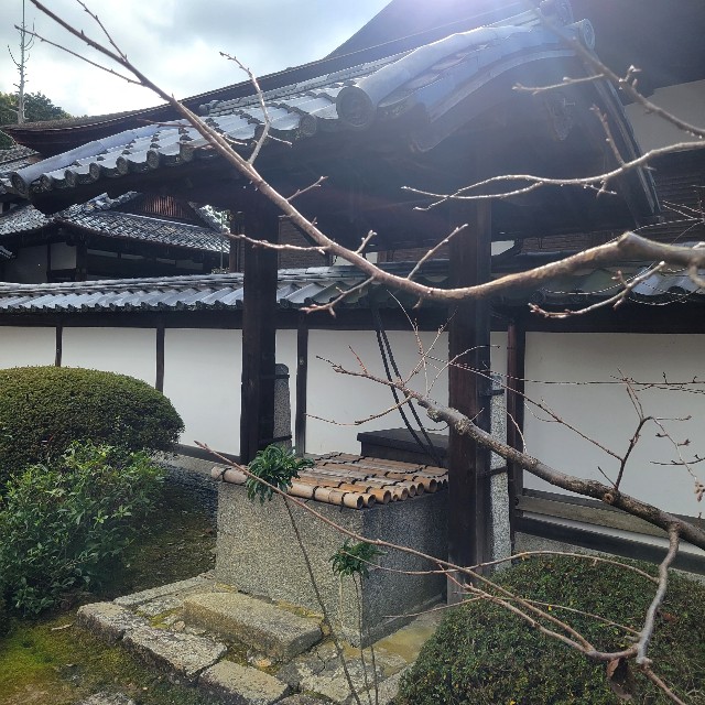 f:id:atoriatoriatori:20240118130855j:image f:id:atoriatoriatori:20240118130855j:image