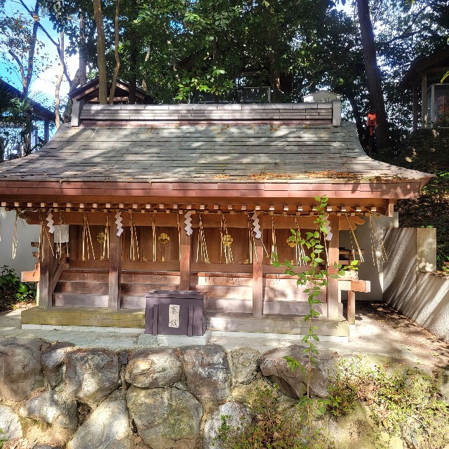 f:id:atoriatoriatori:20240123090902j:image