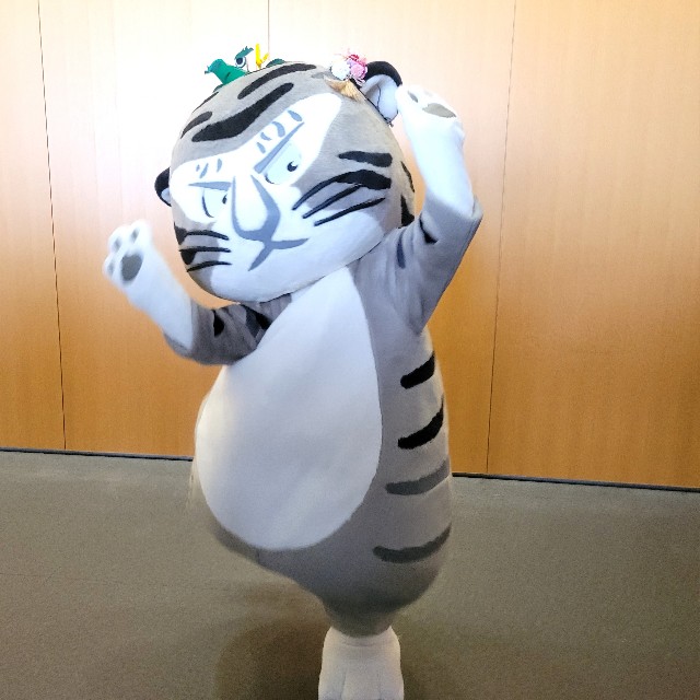 f:id:atoriatoriatori:20240124172853j:image f:id:atoriatoriatori:20240124172853j:image