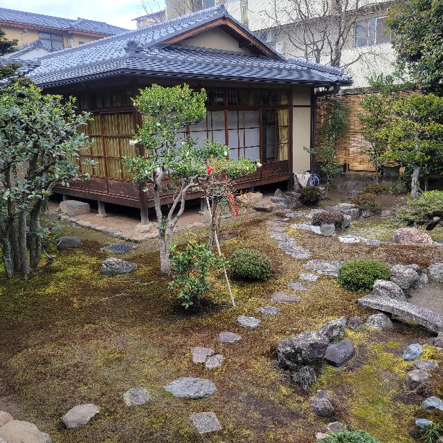 f:id:atoriatoriatori:20240217135957j:image