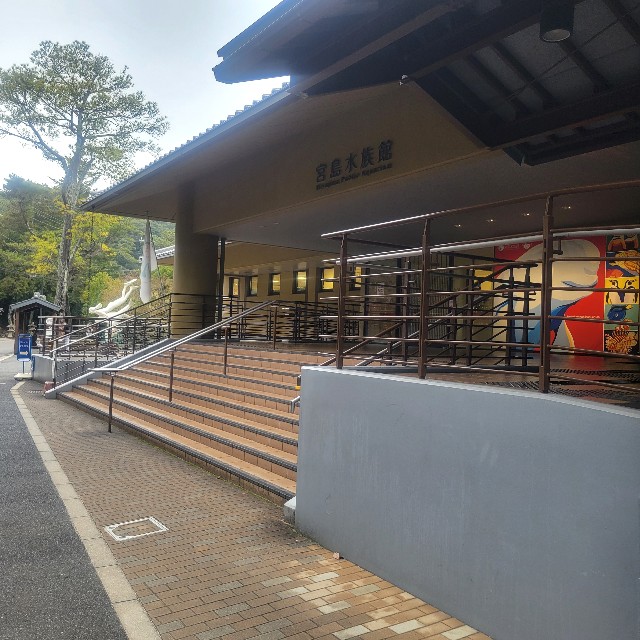 f:id:atoriatoriatori:20240228114713j:image