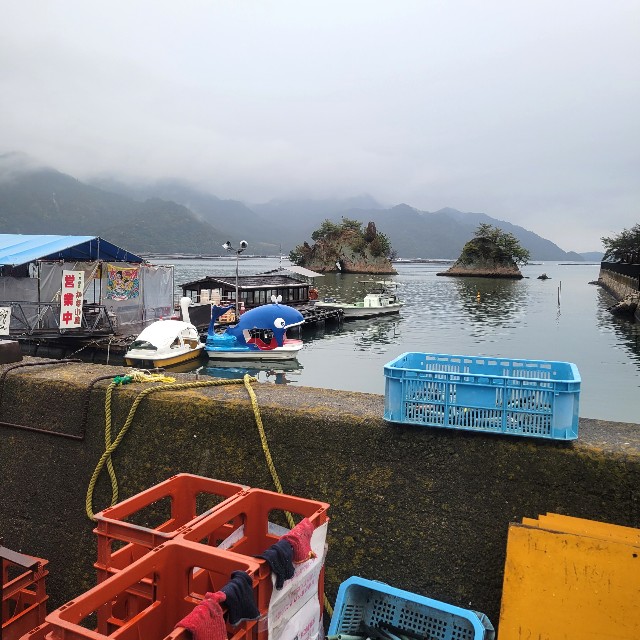 f:id:atoriatoriatori:20240301205051j:image f:id:atoriatoriatori:20240301205051j:image