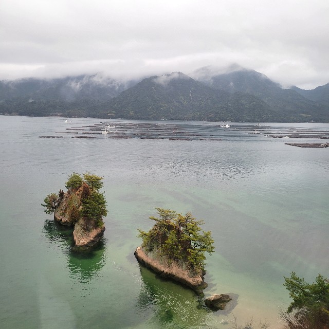 f:id:atoriatoriatori:20240303110930j:image f:id:atoriatoriatori:20240303110930j:image
