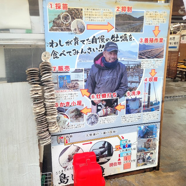 f:id:atoriatoriatori:20240304083507j:image f:id:atoriatoriatori:20240304083507j:image