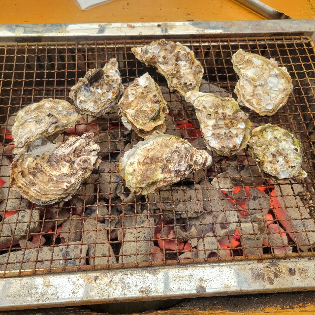 f:id:atoriatoriatori:20240304092553j:image f:id:atoriatoriatori:20240304092553j:image