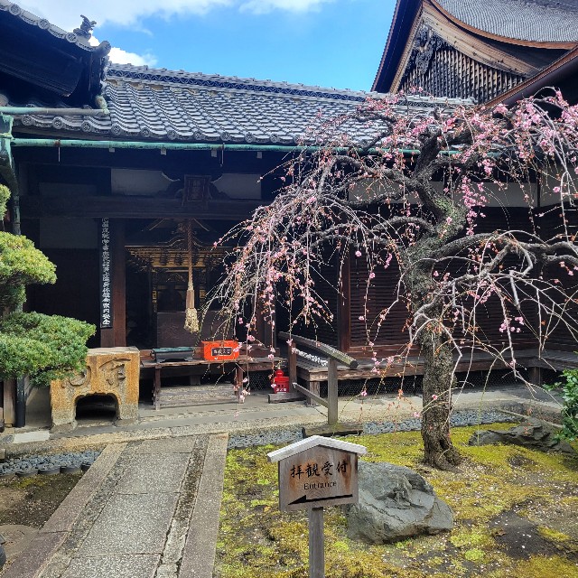 京都】『観智院』に行ってきました。 京都旅 東寺 - あとりのやっぱり