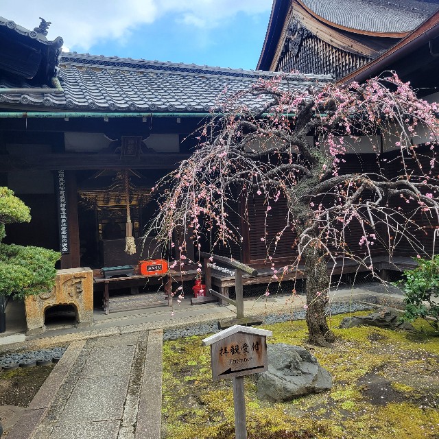 京都】『観智院』に行ってきました。 京都旅 東寺 - あとりのやっぱり