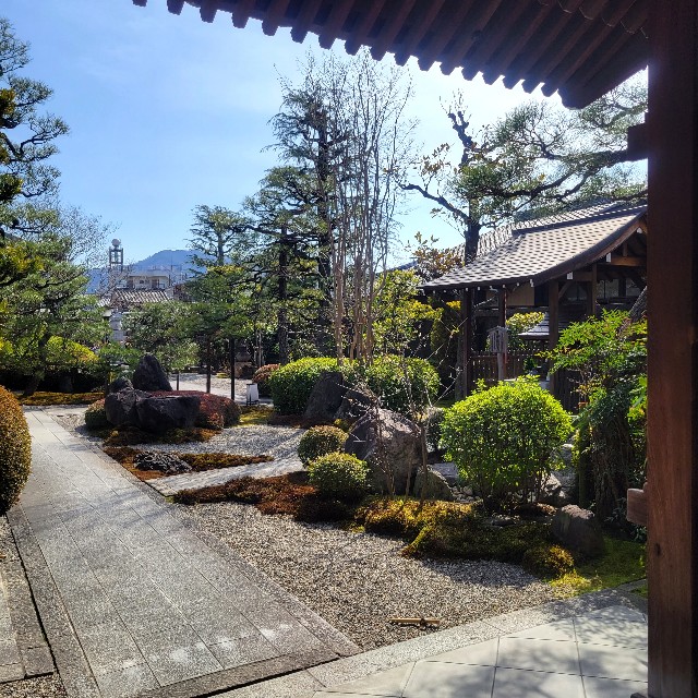 【京都】『長徳寺』に早咲きの桜を見に行ってきました。 京都桜 京都旅 - あとりのやっぱり が好き