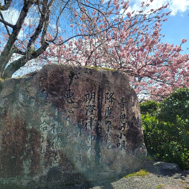 f:id:atoriatoriatori:20240322124057j:image f:id:atoriatoriatori:20240322124057j:image