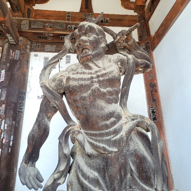 f:id:atoriatoriatori:20240322133248j:image f:id:atoriatoriatori:20240322133248j:image