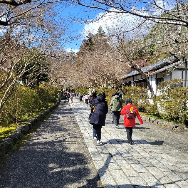 f:id:atoriatoriatori:20240323172522j:image f:id:atoriatoriatori:20240323172522j:image