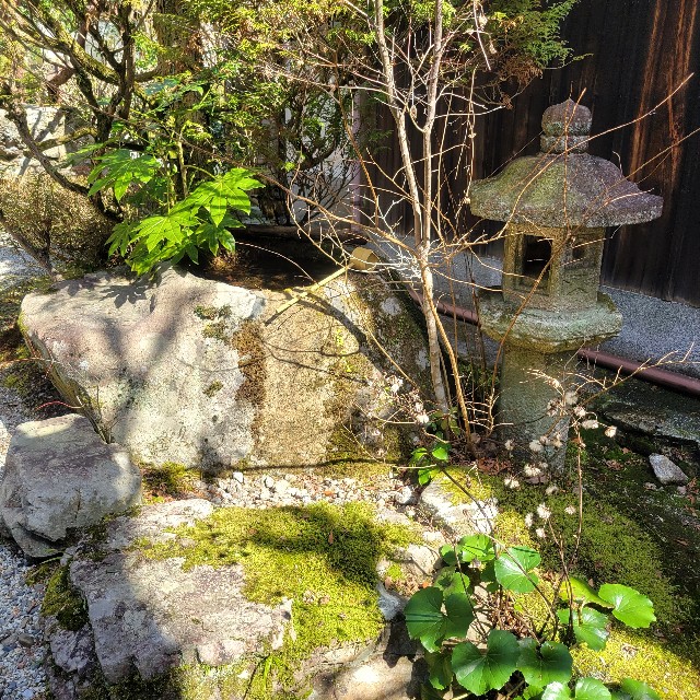 f:id:atoriatoriatori:20240323174959j:image f:id:atoriatoriatori:20240323174959j:image