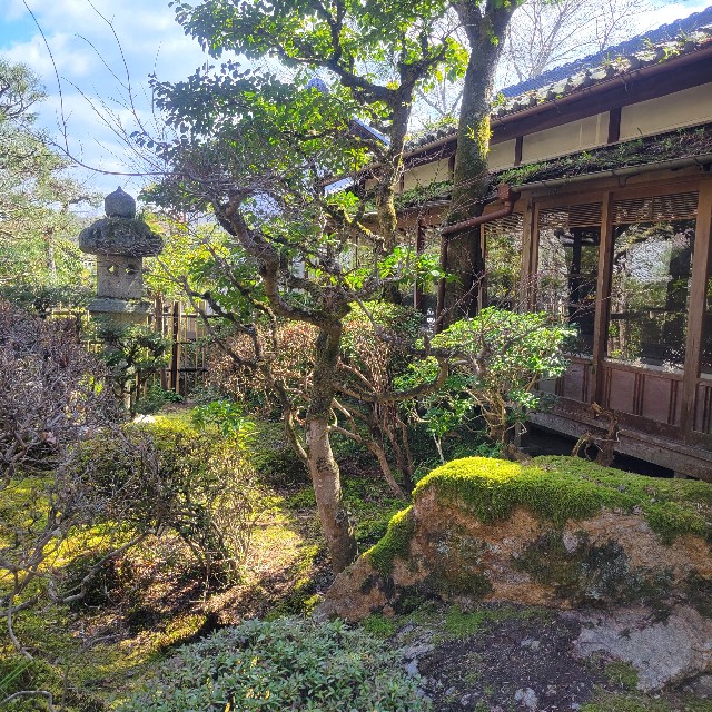 f:id:atoriatoriatori:20240323175009j:image f:id:atoriatoriatori:20240323175009j:image