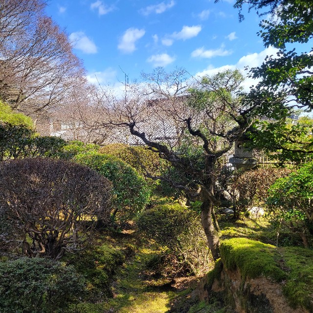 f:id:atoriatoriatori:20240323175020j:image f:id:atoriatoriatori:20240323175020j:image