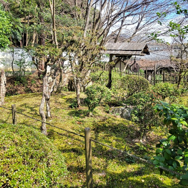 f:id:atoriatoriatori:20240323175028j:image f:id:atoriatoriatori:20240323175028j:image