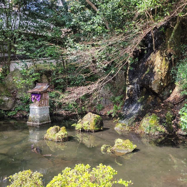 f:id:atoriatoriatori:20240323175037j:image f:id:atoriatoriatori:20240323175037j:image