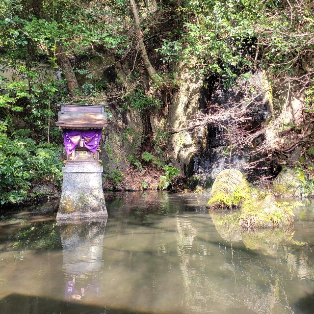 f:id:atoriatoriatori:20240323175059j:image f:id:atoriatoriatori:20240323175059j:image