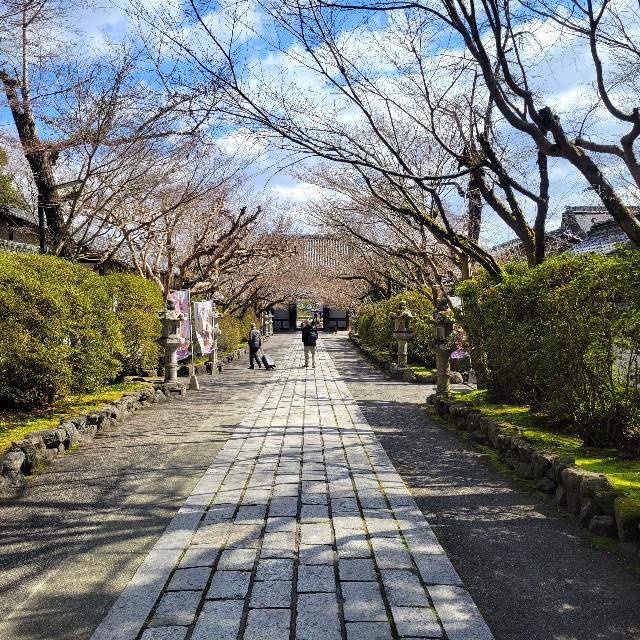 f:id:atoriatoriatori:20240324111402j:image f:id:atoriatoriatori:20240324111402j:image