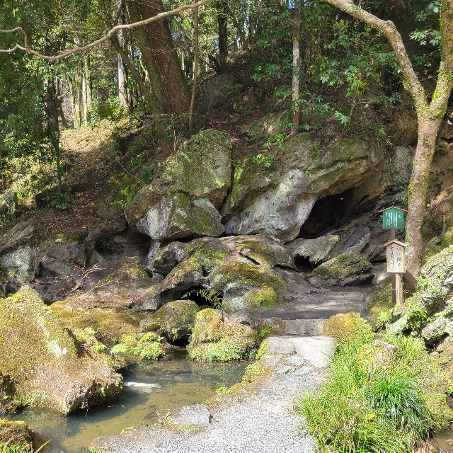 f:id:atoriatoriatori:20240324201833j:image f:id:atoriatoriatori:20240324201833j:image