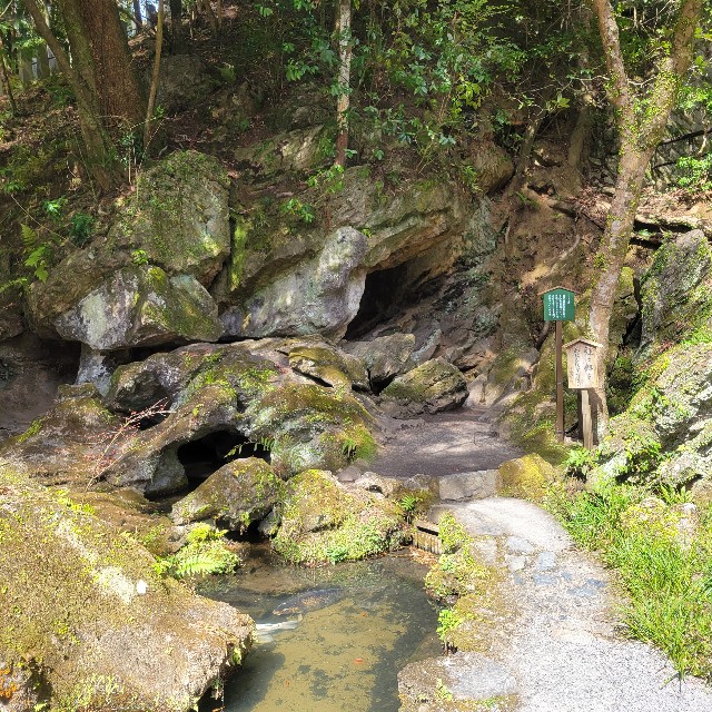 f:id:atoriatoriatori:20240324201843j:image f:id:atoriatoriatori:20240324201843j:image