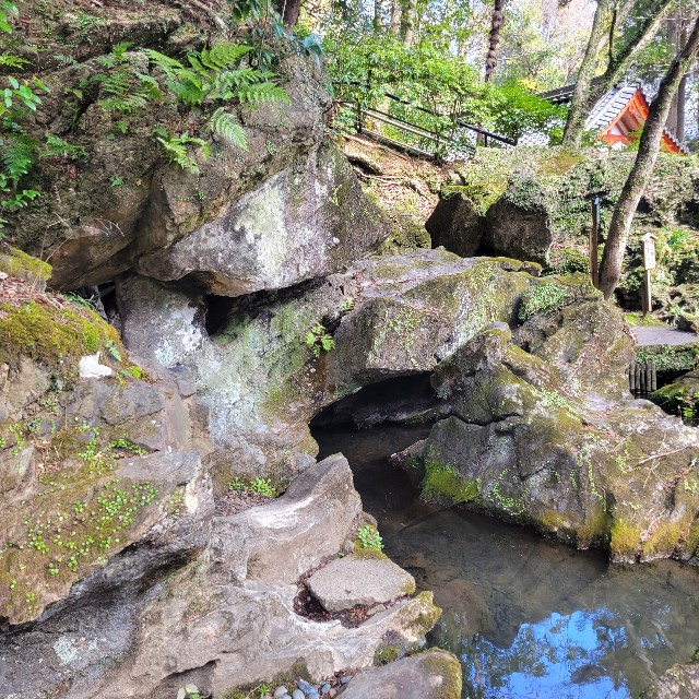 f:id:atoriatoriatori:20240324202734j:image f:id:atoriatoriatori:20240324202734j:image