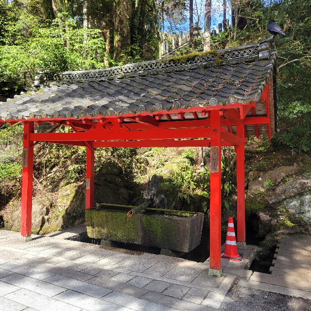 f:id:atoriatoriatori:20240324204935j:image f:id:atoriatoriatori:20240324204935j:image