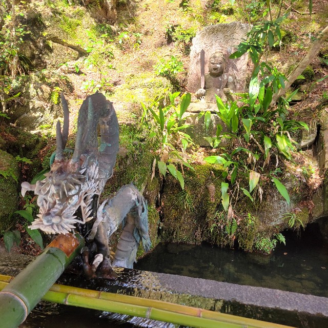 f:id:atoriatoriatori:20240324205007j:image f:id:atoriatoriatori:20240324205007j:image