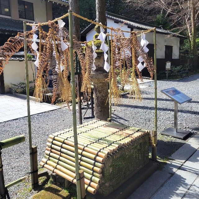 f:id:atoriatoriatori:20240324205020j:image f:id:atoriatoriatori:20240324205020j:image