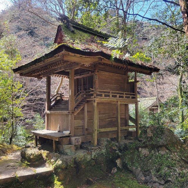 f:id:atoriatoriatori:20240325092441j:image f:id:atoriatoriatori:20240325092441j:image