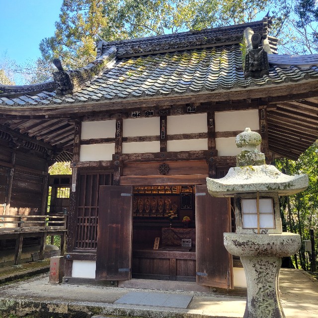 f:id:atoriatoriatori:20240325101612j:image f:id:atoriatoriatori:20240325101612j:image