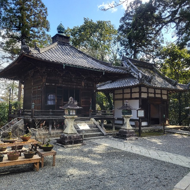 f:id:atoriatoriatori:20240325102112j:image f:id:atoriatoriatori:20240325102112j:image