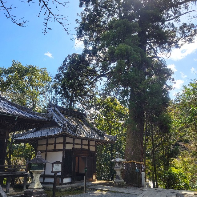 f:id:atoriatoriatori:20240325103207j:image f:id:atoriatoriatori:20240325103207j:image