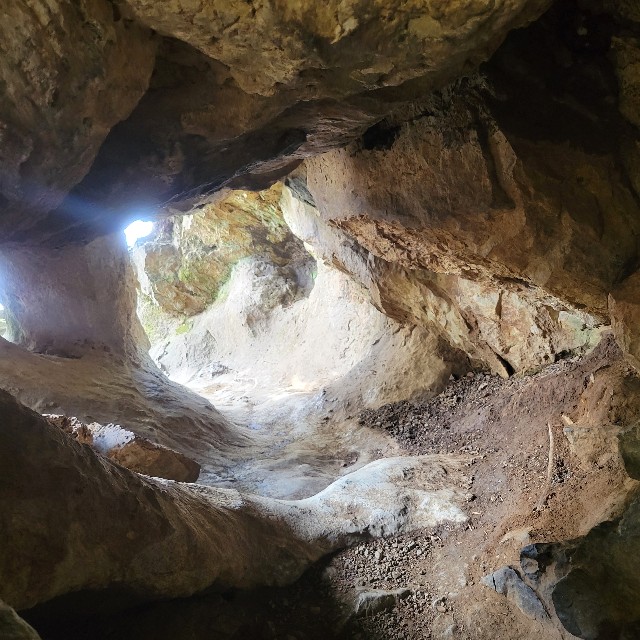 f:id:atoriatoriatori:20240325115649j:image f:id:atoriatoriatori:20240325115649j:image