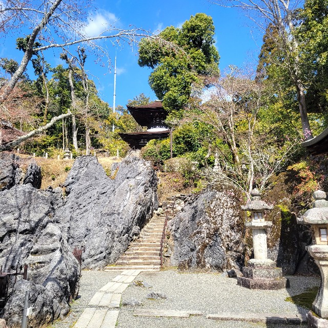 f:id:atoriatoriatori:20240325131741j:image