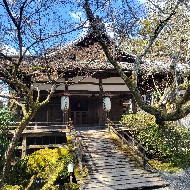 f:id:atoriatoriatori:20240325132308j:image