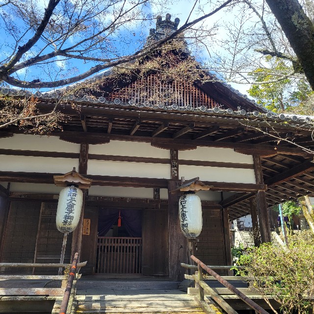 f:id:atoriatoriatori:20240325132317j:image