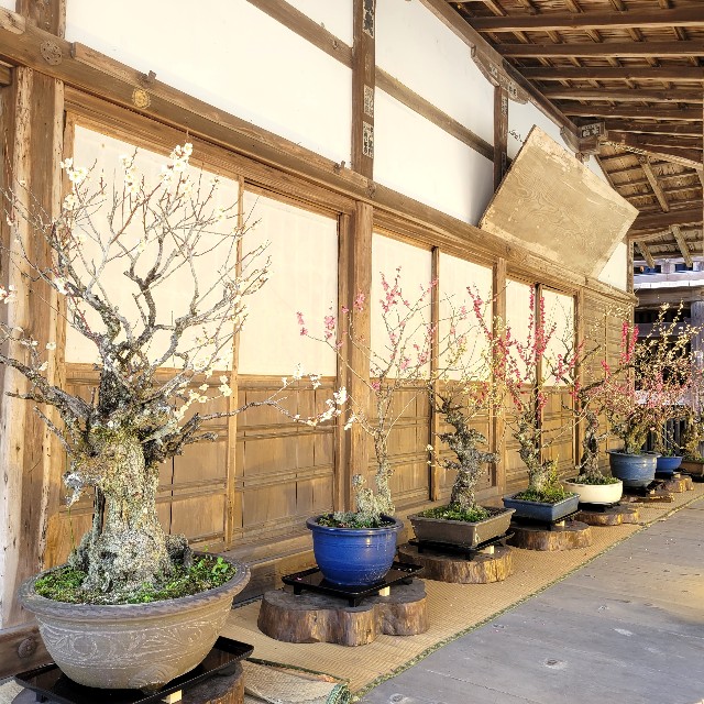 f:id:atoriatoriatori:20240325132341j:image