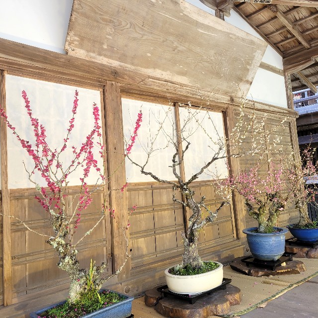 f:id:atoriatoriatori:20240325132349j:image