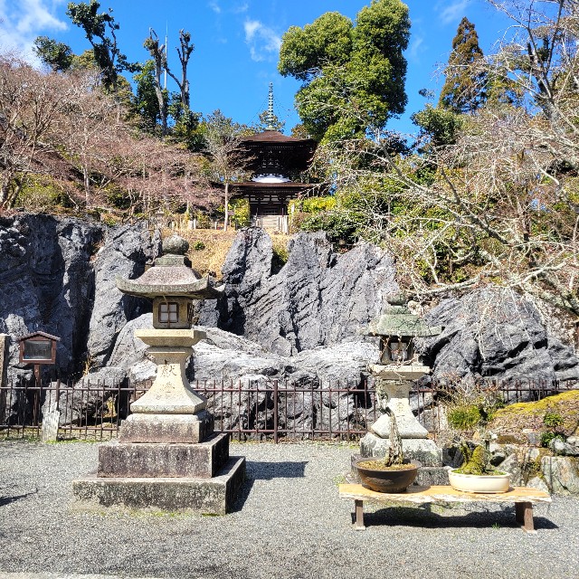 f:id:atoriatoriatori:20240325135804j:image