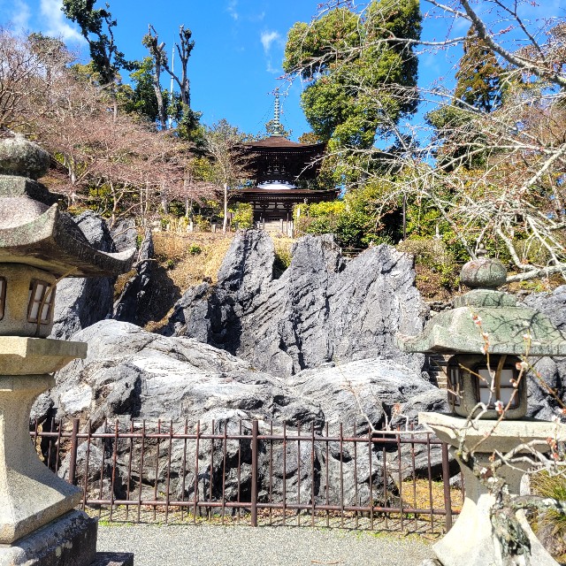 f:id:atoriatoriatori:20240325135814j:image