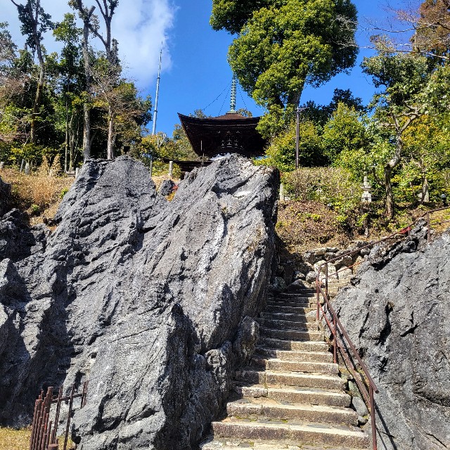 f:id:atoriatoriatori:20240325155309j:image