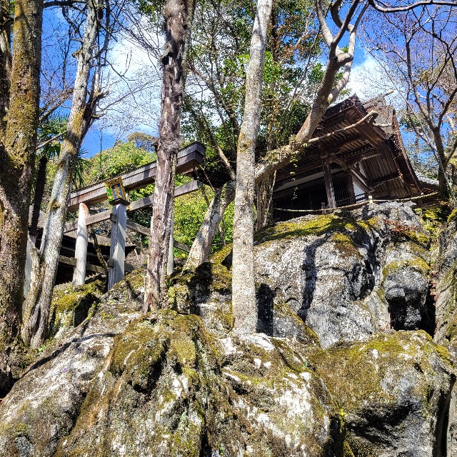 f:id:atoriatoriatori:20240325155912j:image