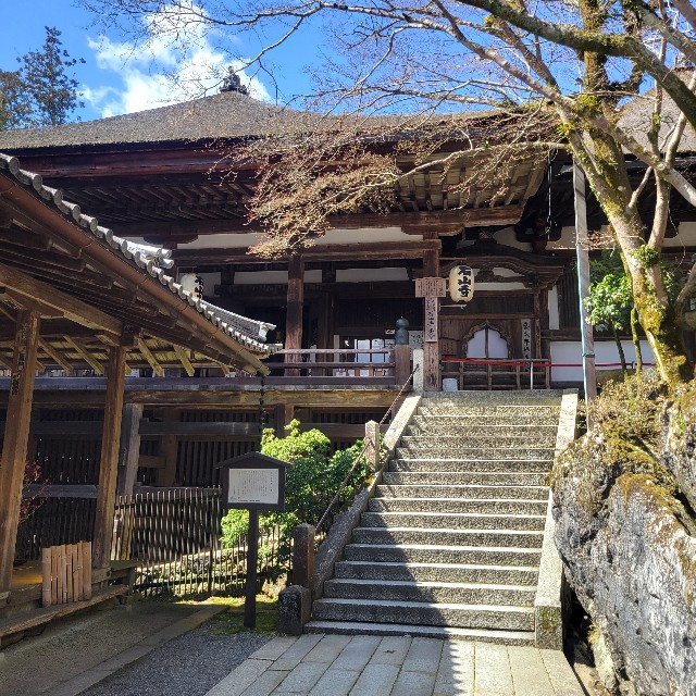 f:id:atoriatoriatori:20240325160648j:image