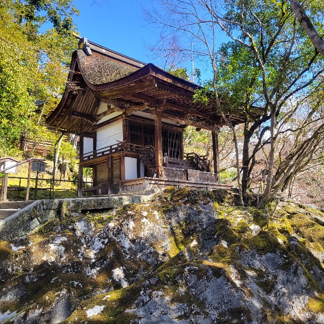 f:id:atoriatoriatori:20240325180620j:image