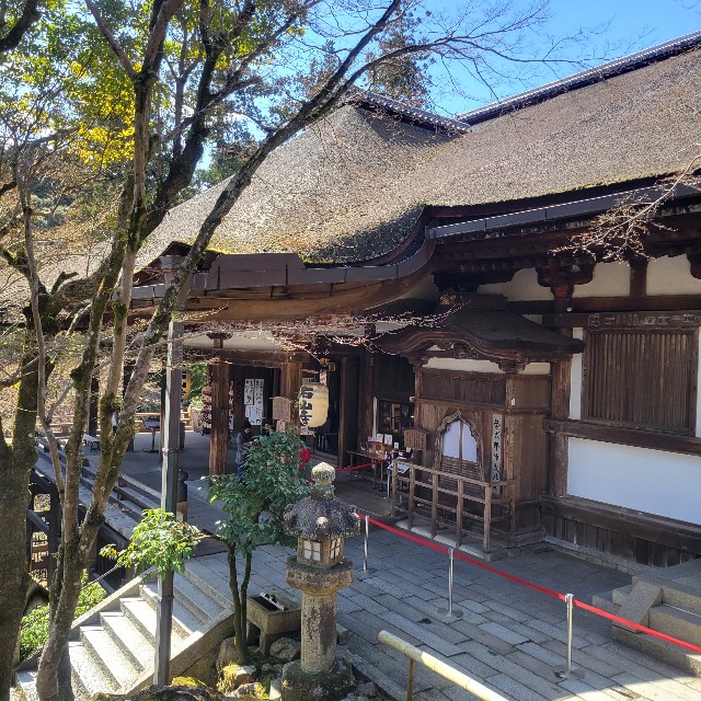 f:id:atoriatoriatori:20240325180647j:image