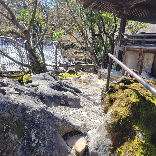 f:id:atoriatoriatori:20240325211223j:image