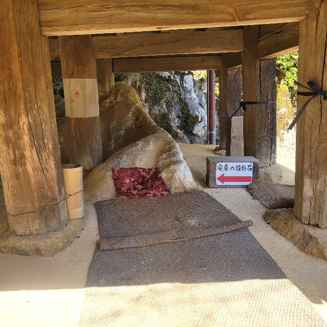 f:id:atoriatoriatori:20240325211606j:image